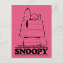 Suche nach geheimnis von postkarten Erdnüsse