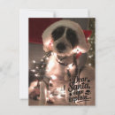 Suche nach erklären postkarten Lieber santa i erklären