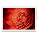 Suche nach robust postkarten Rot