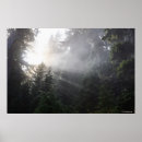 Suche nach strahlen poster Sonne