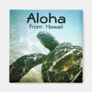 Suche nach aloha magnete Andenken