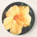 Suche nach yellow untersetzer Hibiskus