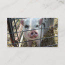 Suche nach niedliches schwein visitenkarten Piggy