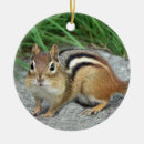 Suche nach wild lebende tiere ornamente Eichhörnchen