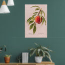 Suche nach royale poster Für sie