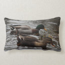 Suche nach stockenten kissen Wild lebende tiere