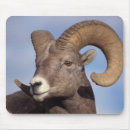 Suche nach steve mousepads Park