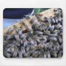Suche nach bienenkönigin mousepads Hummel