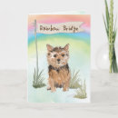 Suche nach verlust eines hundes karten Dogs