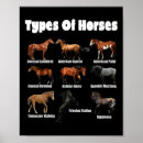 Suche nach reitpferde poster Ranch