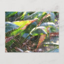 Suche nach spid postkarten Makro