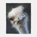 Suche nach lustiger vogel decken Strauß