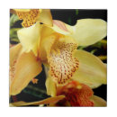 Suche nach rosa orchideen fliesen Keramik