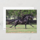 Suche nach mund postkarten Bob