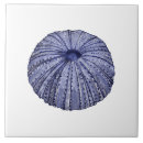 Suche nach weiße muschel fliesen Nautisch