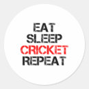 Suche nach cricket aufkleber Spielfeld
