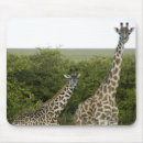 Suche nach drei tiere mousepads Natur