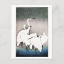 Suche nach koson postkarten Vogel