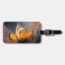 Suche nach rifffische Blau