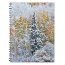 Suche nach pass kleine notizbücher Felsigen berg