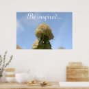 Suche nach hydrangea blume poster Fotografie