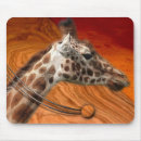 Suche nach amerikanischer ureinwohner mousepads Fotografie