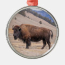Suche nach bison ornamente Gelbstein