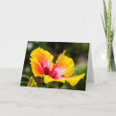 Suche nach hibiskus karten Gelb