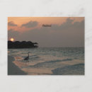 Suche nach malediven postkarten Südasien