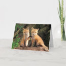 Suche nach zwei tiere karten Fuchs