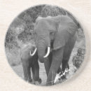 Suche nach elefant untersetzer Safari