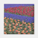 Suche nach keukenhof magnete Europa