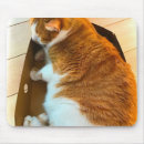 Suche nach orange und weiße katze mousepads Katzenliebhaber