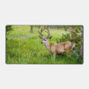 Suche nach maultiere mousepads Buckel