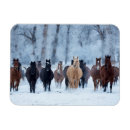 Suche nach kälte magnete Bauernhof