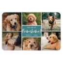 Suche nach pet magnete Katze