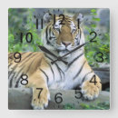 Suche nach tiger kunst Zuhause