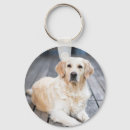 Suche nach haustiergeschenk Niedlicher hund