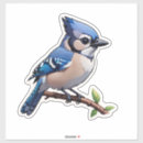 Suche nach blaues jay aufkleber Tiere