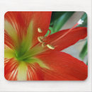 Suche nach der weißen lilie mousepads Orange