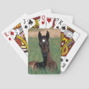 Suche nach araber spielkarten Equestrian