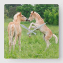 Suche nach fohlen wanduhren Pferd