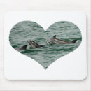Suche nach delphine mousepads Fotografie