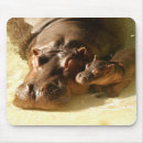 Suche nach flusspferd mousepads Tiere