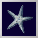 Suche nach indigo poster Seashells