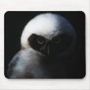 Suche nach weiße eule mousepads Vogelvogel