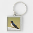 Suche nach schwalbe accessoires Wild lebende tiere