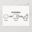 Suche nach evolution postkarten Funny