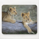 Suche nach baumstamm mousepads Masai mara