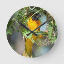 Suche nach weber wanduhren Tierwelt